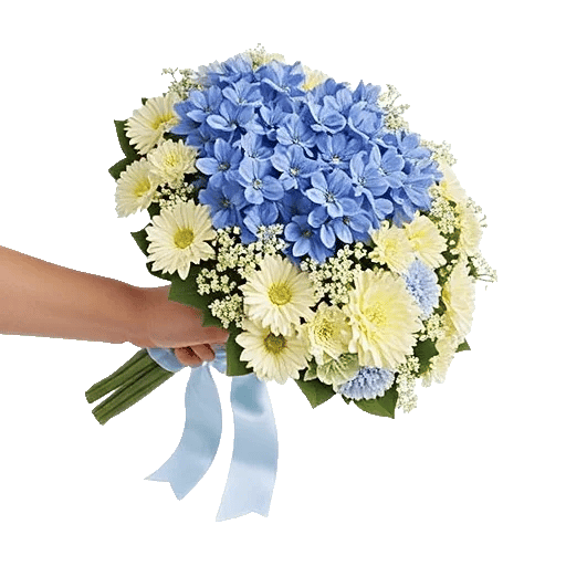 Serenity Blossom Grace