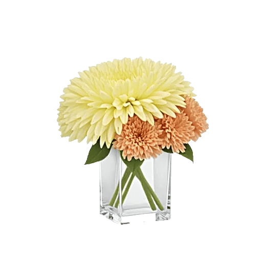 Delicate Petal Cascade