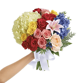 Serene Petal Harmony