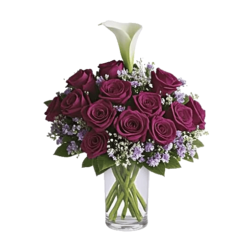 Elegant Calla Lilies