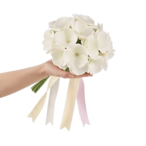 Ivory Blossom Radiance