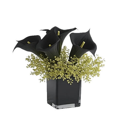 Elegant Calla Lilies