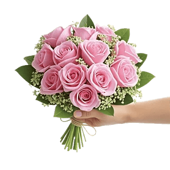 Pink Pastel Roses
