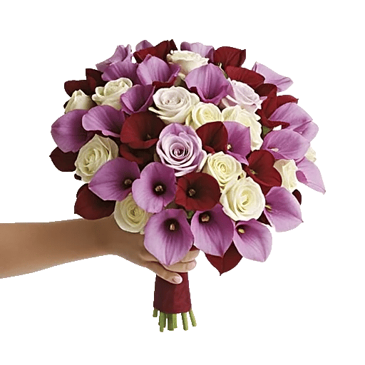 Elegant Calla Lilies