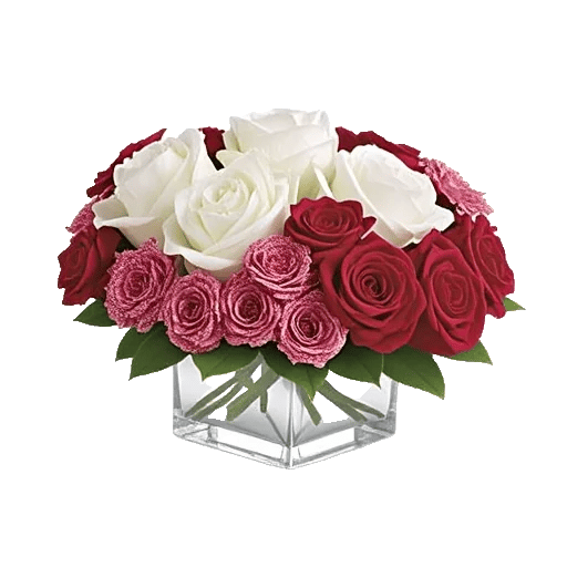 Radiant Rose Symphony