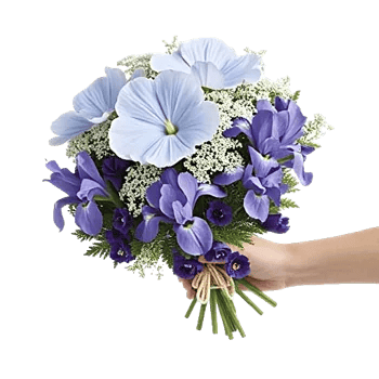 Serene Petal Harmony