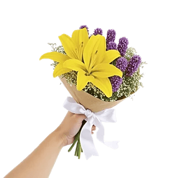 Blossom Harmony Display