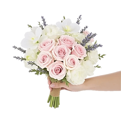Petal Grace Harmony