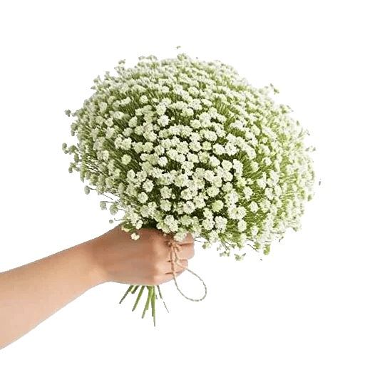 Blossom Radiant Whisper