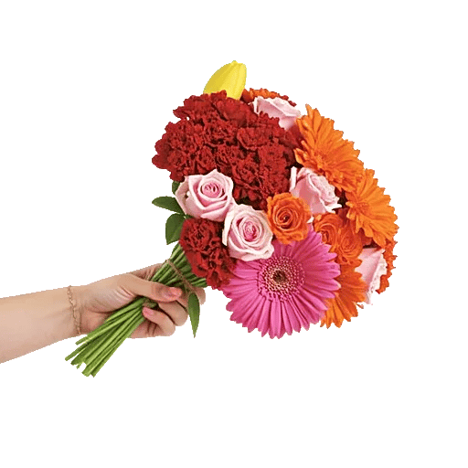 Blossom Harmony Display