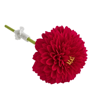 Crimson Blossom Harmony