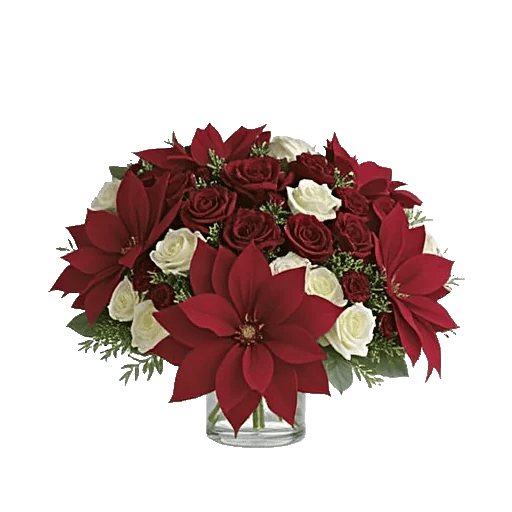 Petal Radiance Bliss