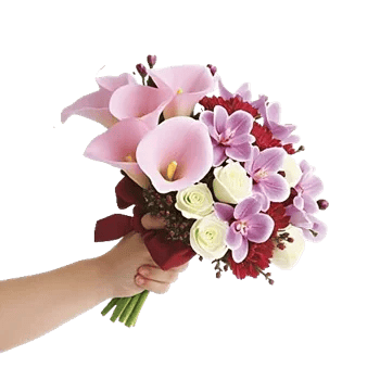 Elegant Calla Lilies