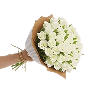 Ivory Blossom Radiance