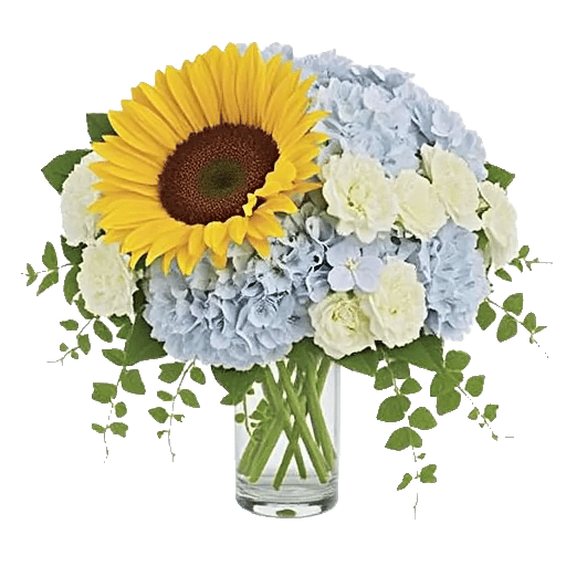 Radiant Bloom Cascade