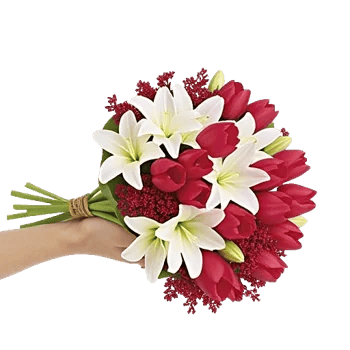 Scarlet Tulip Splendor