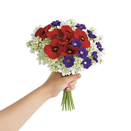 Blossom Harmony Display