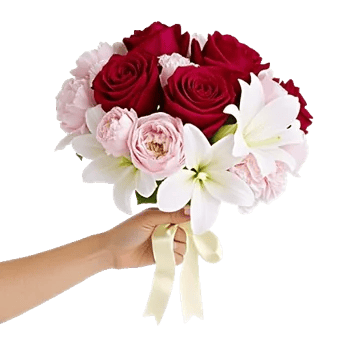 Crimson Rose Elegance