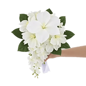 Modern White Orchids