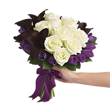 Crimson Rose Elegance