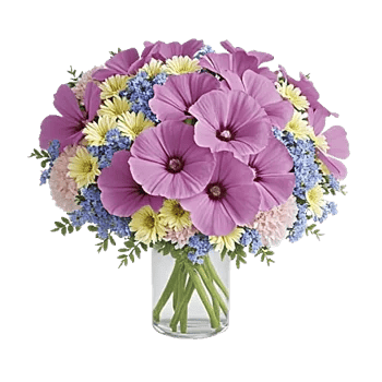 Petal Radiance Bliss