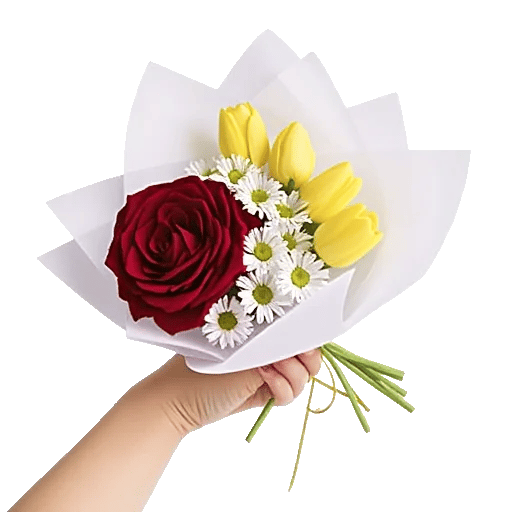 Crimson Rose Elegance