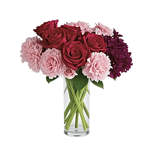 Crimson Blossom Harmony