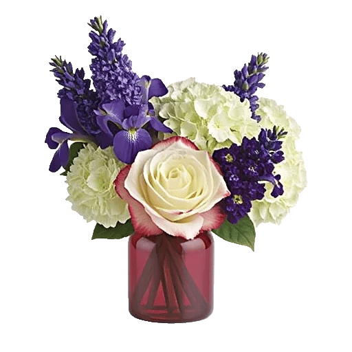 Ivory Blossom Radiance