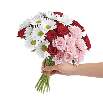 Petal Harmony Bliss