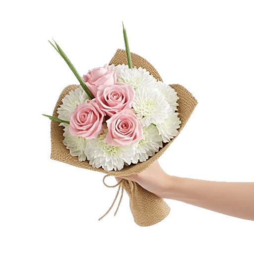 Pastel Pink Roses