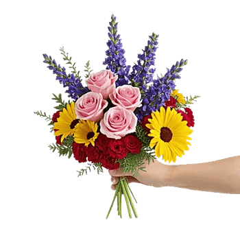 Blossom Petal Serenity