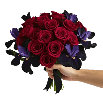 Crimson Rose Elegance