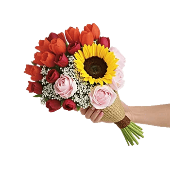 Petal Radiance Bliss