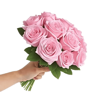Pink Pastel Roses