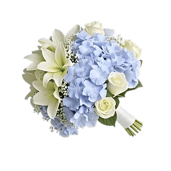 Blooming Serenity Display