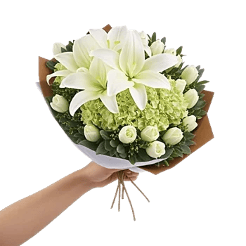 Elegant Calla Lilies