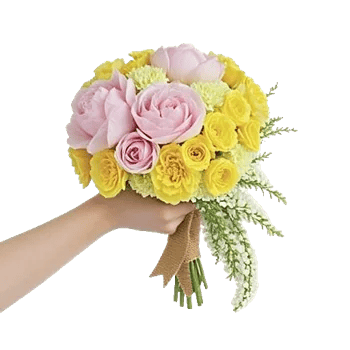 Peony Petal Harmony