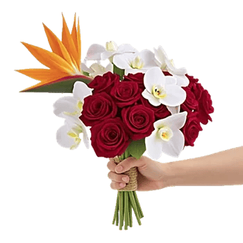 Petal Grace Harmony