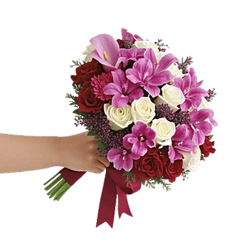 Elegant Calla Lilies