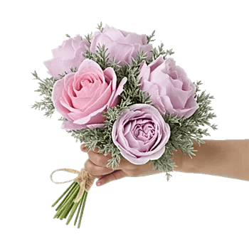 Pastel Pink Roses