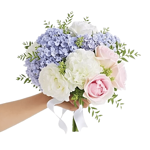 Serene Petal Harmony