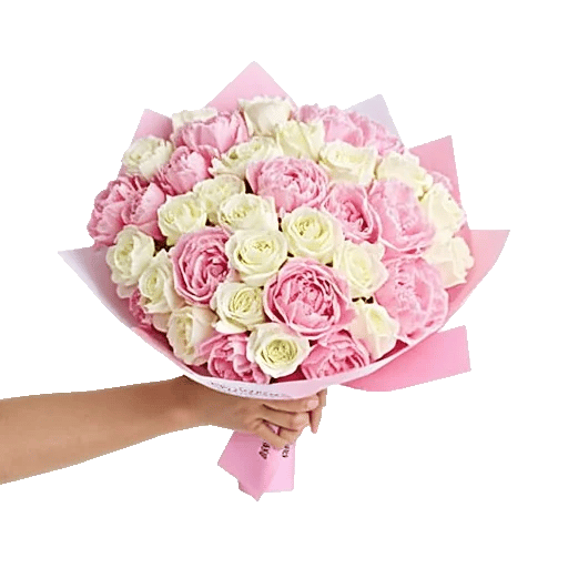 Peony Petal Harmony
