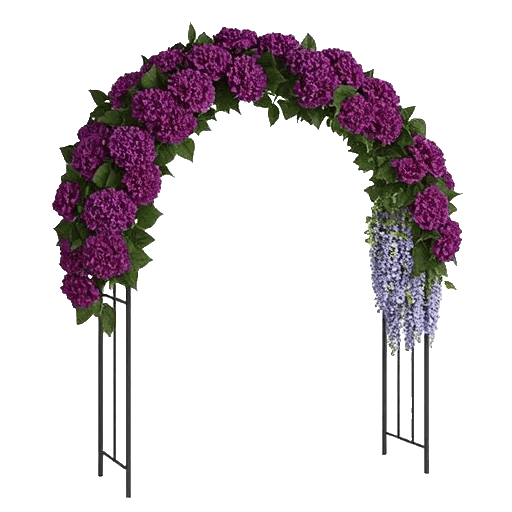 Ivory Blossom Radiance