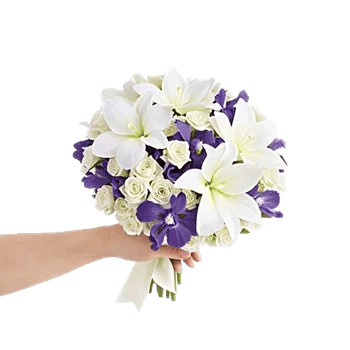 Minimalist White Orchids