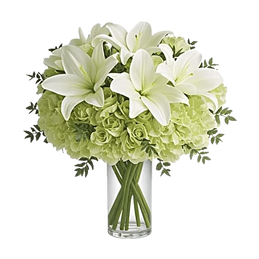 Ivory Blossom Radiance