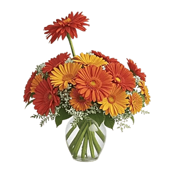 Radiant Bloom Cascade