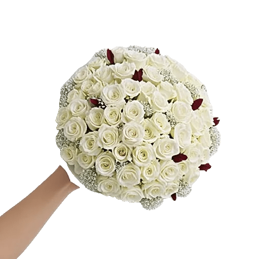 Serene Petal Harmony