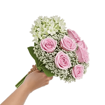 Blossom Radiant Whisper