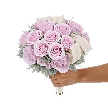 Pastel Pink Roses