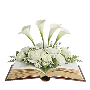 Elegant Calla Lilies